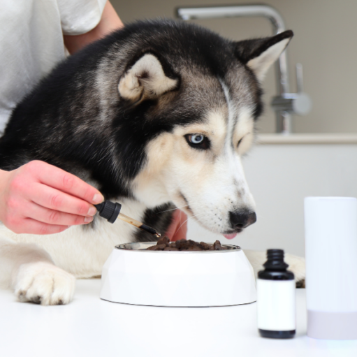 Canine Performance Supplement Manufacturing